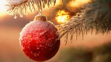 БК Winline дарит бесплатную ставку 10 долларов к Новому году!