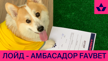 Коргі Лойд спрогнозував перемогу України над Швецією