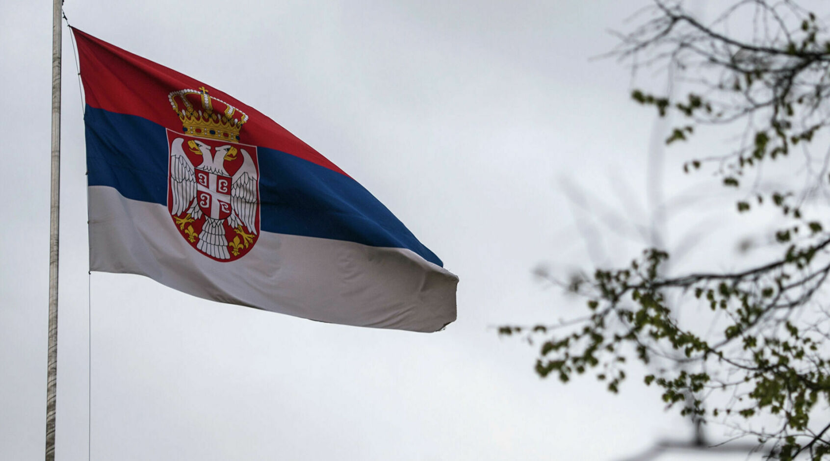 Футбольний союз Сербії покараний за неналежну поведінку фанатів під час гри з Англією