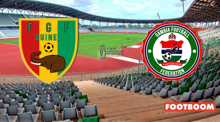 Кубок Африки. Гвинея - Гамбия 1:0. Видеообзор матча