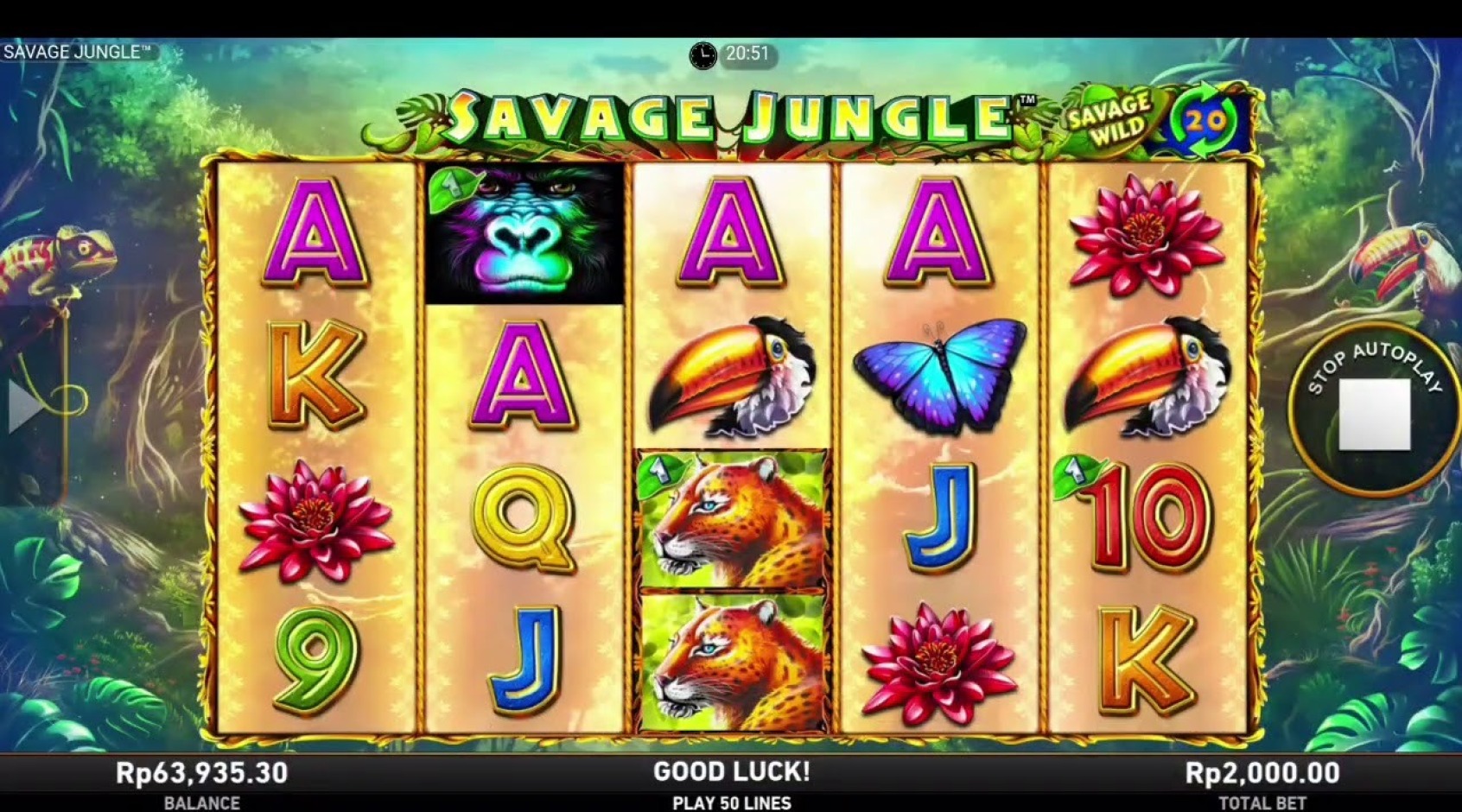 Ігровий автомат POP Savage Jungle (GPAS)